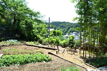 Guest House Hennka Kyoto 0*,  Japan